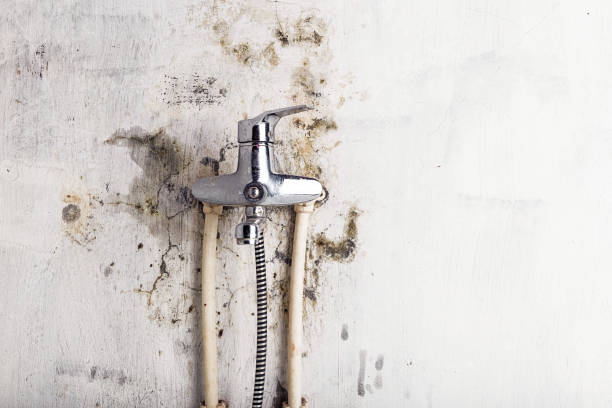 Best Mold Remediation for Specific Building Types in South Patrick Shores, FL