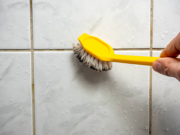 Best Commercial Mold Remediation in South Patrick Shores, FL