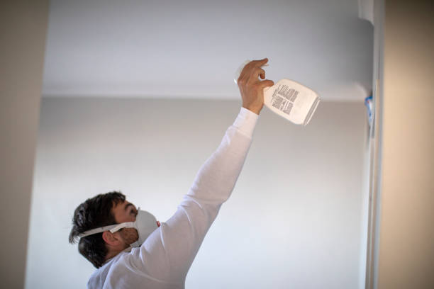 Best Emergency Mold Remediation in South Patrick Shores, FL