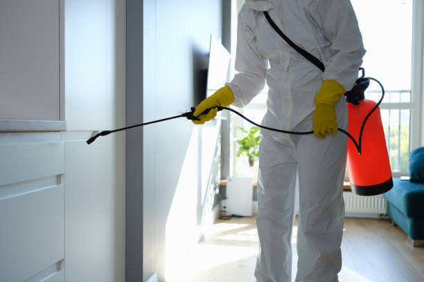 Best Crawl Space Mold Remediation in South Patrick Shores, FL