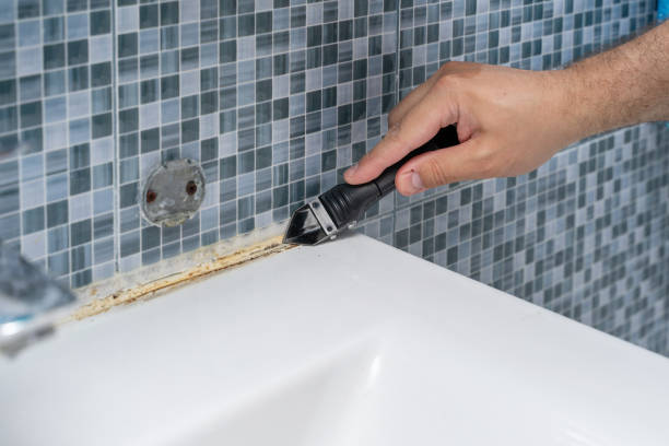 Best Mold Testing and Inspection Services in South Patrick Shores, FL