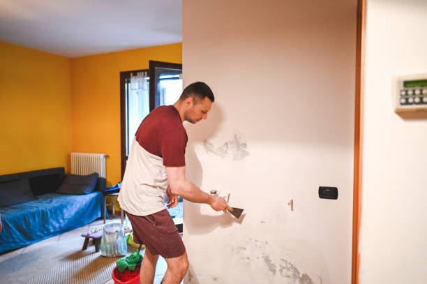 Best HVAC Mold Remediation in South Patrick Shores, FL